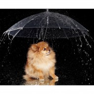 Зонт для животных "Дружок", d 76 см