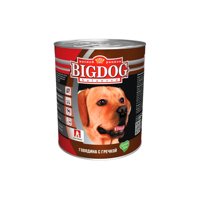 Big dog shop outlet