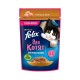 Влажный корм FELIX Аппетитные кусочки для КОТЯТ курица, в желе, 75 г