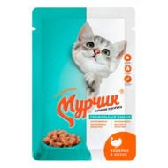 Мурчик д/кошек с индейкой в соусе 85гр пауч