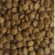СЧАСТЛИВЧИК Корм д/собак Стандарт Мясное ассорти 15кг 4083