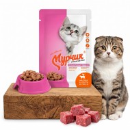 Мурчик д/кошек мясное ассорти в соусе 75гр пауч 1/35