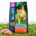 All Cats д/стерилизованных кошек с индейкой 13кг